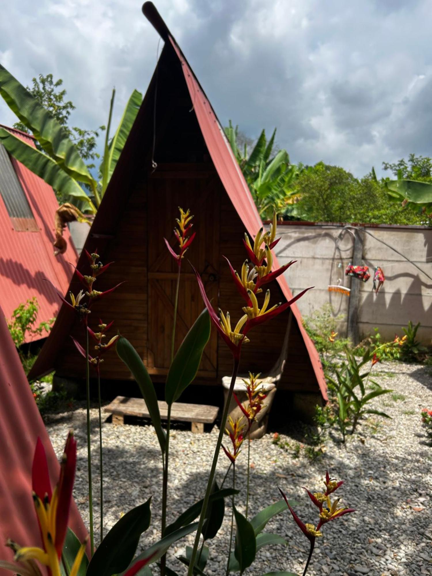 Ballena Oasis Homes & Glamping Uvita Exterior foto